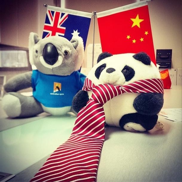 chinaradar's profile picture. Put your finger on the pulse of China's trending searches and hashtags translated into English. Published by @goseekpanda