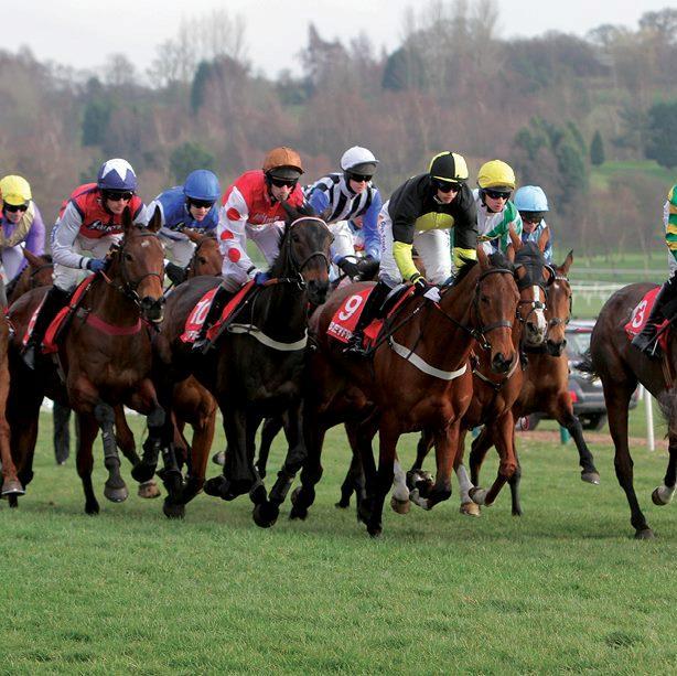 Business Development Manager, Working Mum and Amateur Horse Rider specialising in ROR