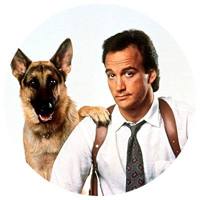 kudyashevpla's profile picture. Архивист. Шитье