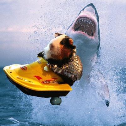 K8BTinkley's profile picture. 