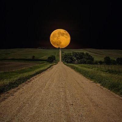 Des liens, de l'actu et des idées à partager