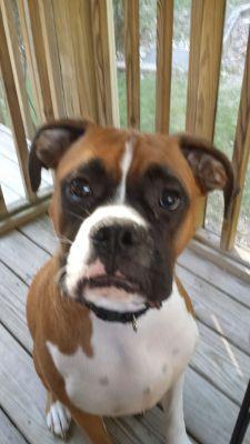 JanNorred's profile picture. 