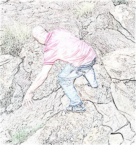 solly67169671's profile picture. 