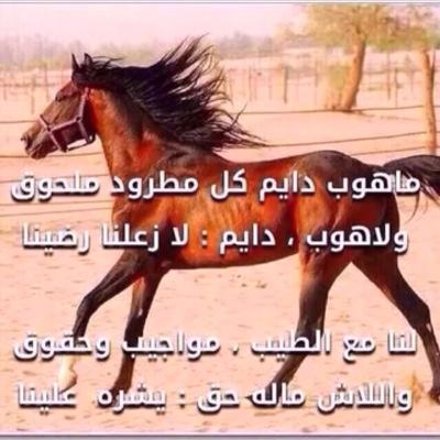 وجودي على شوفك ودآرك وزين احكآك وجودٍ تهشم عوج الأضلآع من دونه .