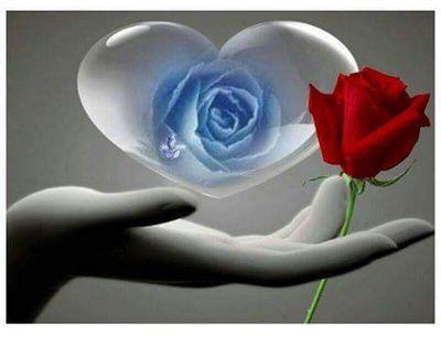 lurdesb45's profile picture. 