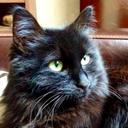 Beverley Pearson - @bivanca64 - Twitter