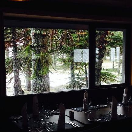 mauroparra44's profile picture. Periodista