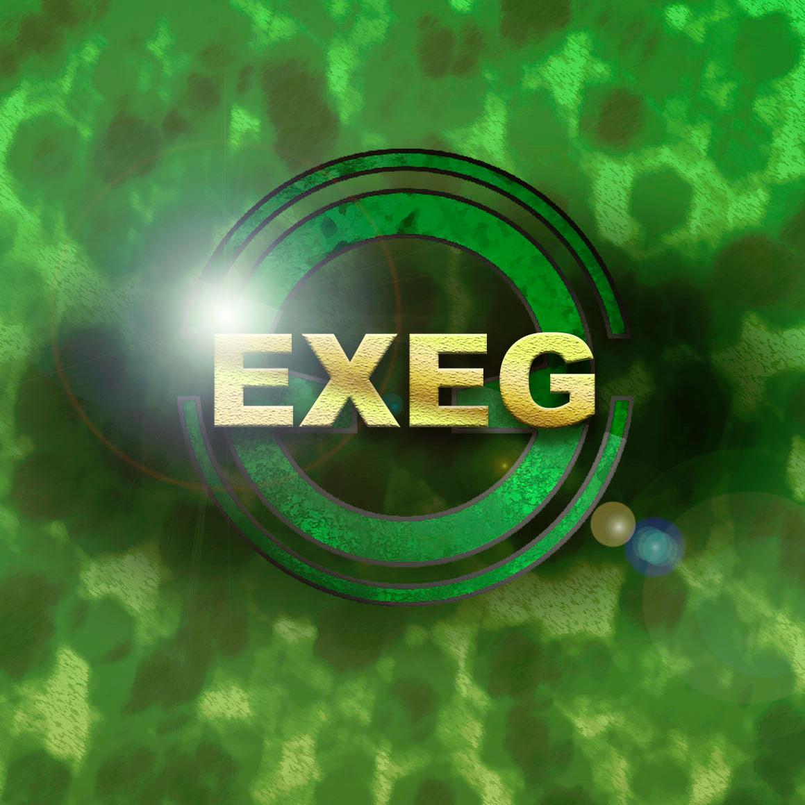 Welcome to the official home of the ExecutedGaming squad and team management company. Business Email- executedgaming@gmail.com