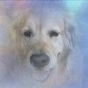 Hans-Otto Nielsen - @hans_hon - Twitter