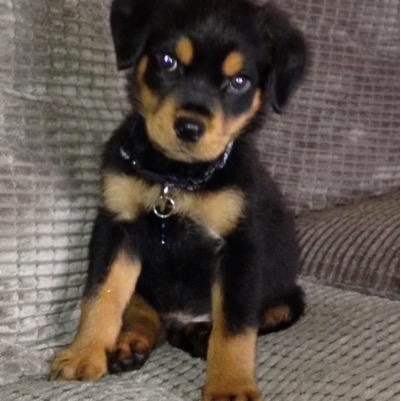 GemmaTunnah's profile picture. 