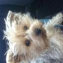 bibi navarro - @bibinavarro1 - Twitter