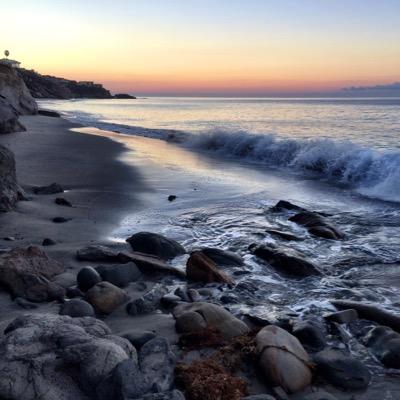 msctt's profile picture. listener walker