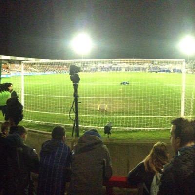 wimbledonFcNews's profile picture. 