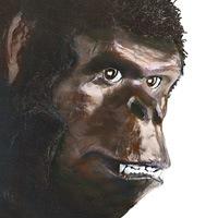 ETCPADS's profile picture. ETC is an American owned and operated manufacturer of floor pads,mops,diamond pads, and accessories #gorillapads