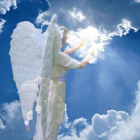 VEMAYCAR's profile picture. EL PAIS QUE QUEREMOS...NO TIENE DISCUSION ES EL DE LA VINO TINTO Y EL DEL GRAN TIO SIMON...EDO!