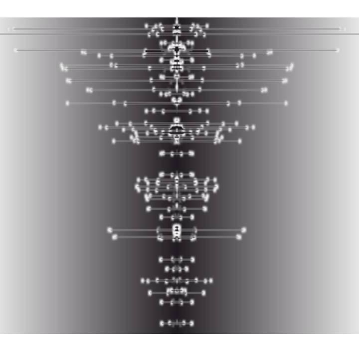 polygenyn's profile picture. We carry out DNA testing with a caring and professional attitude