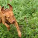 karen spratt - @karenaspratt - Twitter