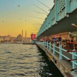 Ff74511's profile picture. 