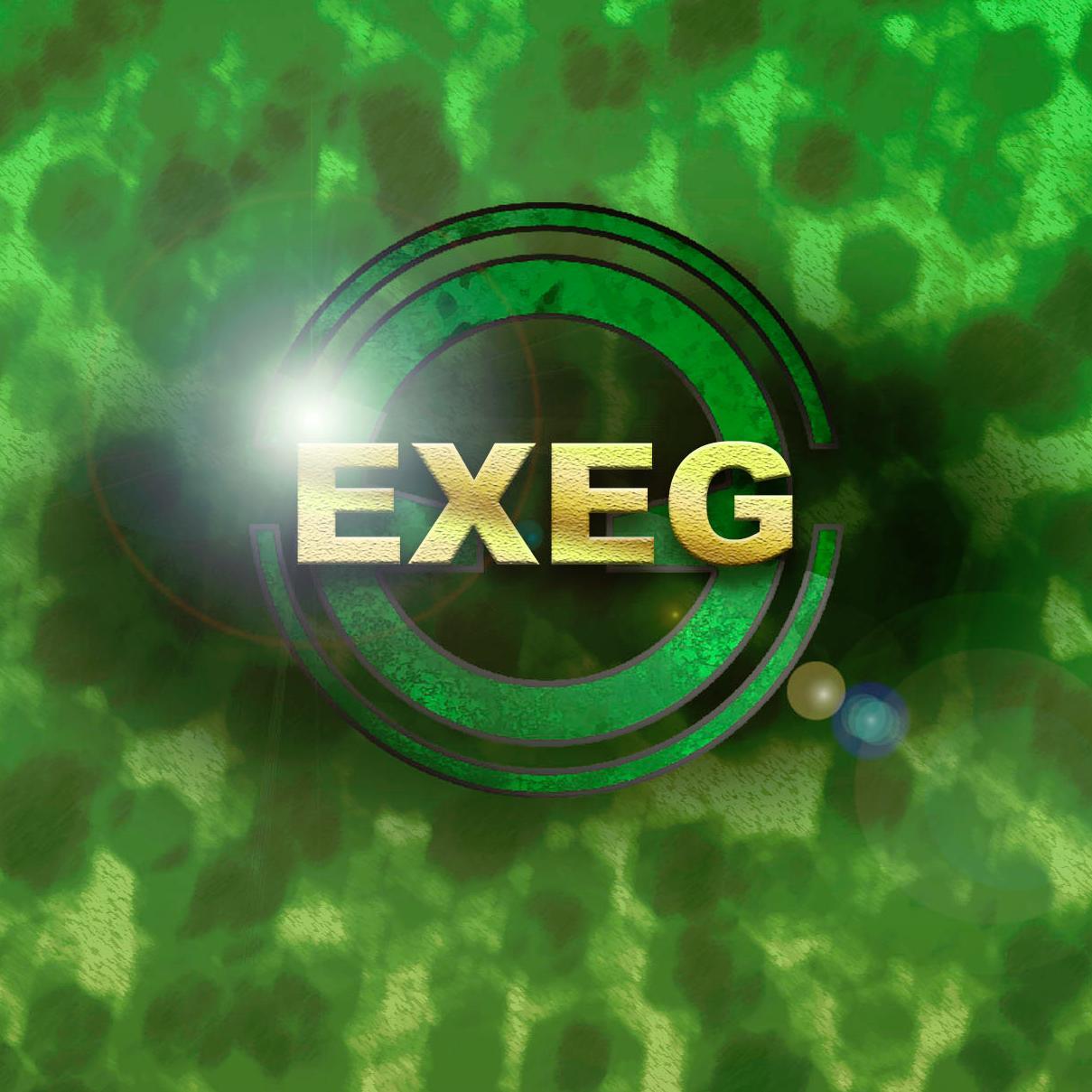 Welcome to the ExecutedGaming Graphic Page Business Email - executedgaminggraphics@gmail.com