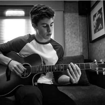 I love shawn mendes