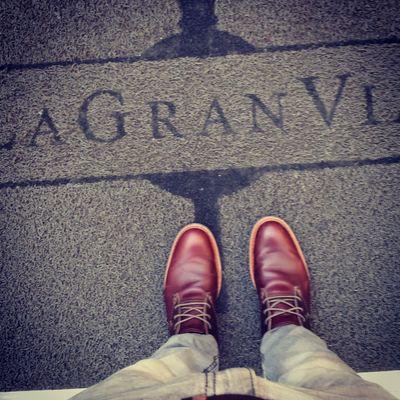 BreveFrank's profile picture. 