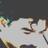 solbahcemさんのプロフィール画像