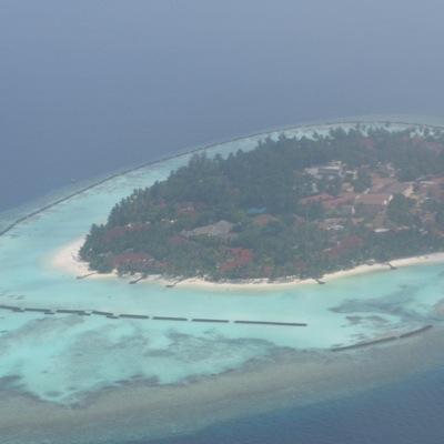 Khoni7's profile picture. Associate Pharmacy Director at GHNHSFT. Husband to extraordinary women. Father to best daughter in the world. All views/opinions my own.