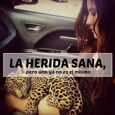 lo que hiere y no mata fortalece al corazon!!!!!