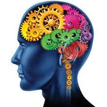 brcpzrl's profile picture. 