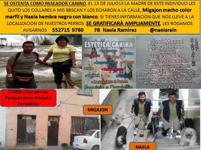 Naela Ramirez Profile