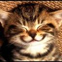 Tom'sCat - @Candy_Cage - Twitter