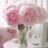 sheillaselvina's profile image