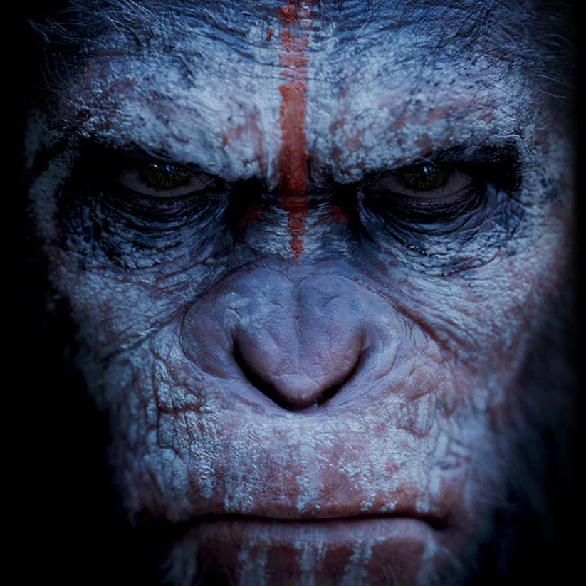 benji22007's profile picture. 