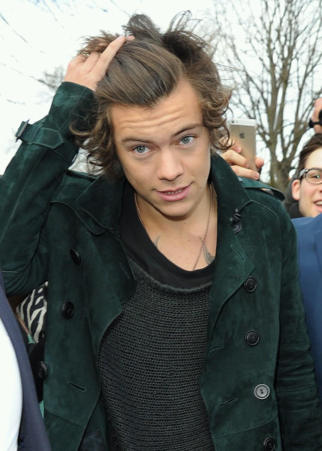 Hi! i'm Harry and i love Louis! Nah, nah, i'm kidding.. not really. Bye!