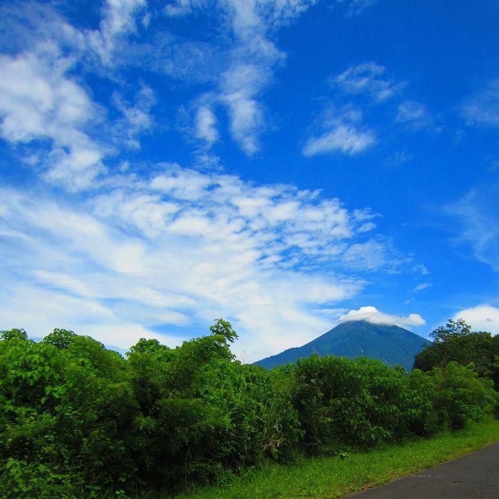 pajarolindo's profile picture. writer, researcher, adult educator living in Mi’kmaq & Maya territories. Agua, territorio, vida. #CeasefireNow