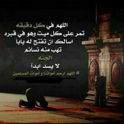 amal222825 Profile Picture