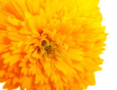 naaaaooooo7085's profile picture. 