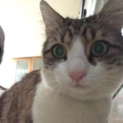 matlou3Officiel Profile Picture