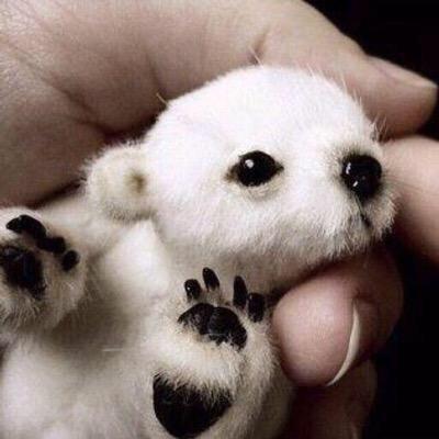 Just so cute tweets❤️ email: tbhcutiepie@gmail.com