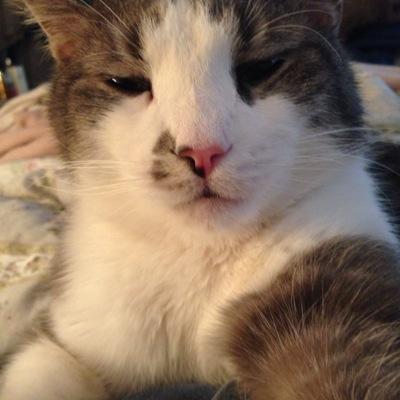 CharlieTheCat