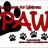 pawcsueb's profile image