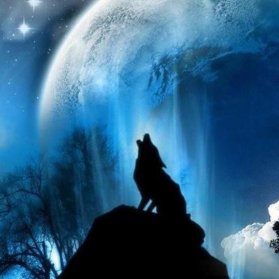 maskedecorator's profile picture. In love with flintcreeksoap
I have loads of cats 
Minecraft = life
Practically type A