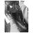 SandraGelatina's profile image