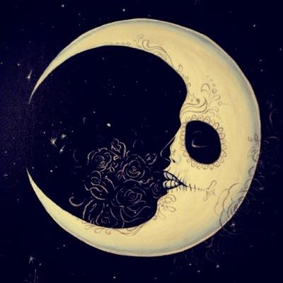 learning, writing, wandering, wondering