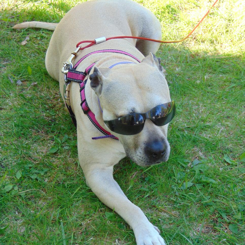 DeliciousLaser's profile picture. 