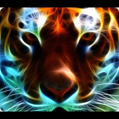 MickeyRegio's profile image