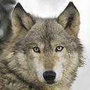 Taylor Grimm - @CheersToThis182 - Twitter