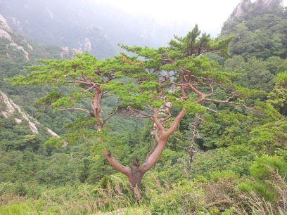 jeonsam67's profile picture. 