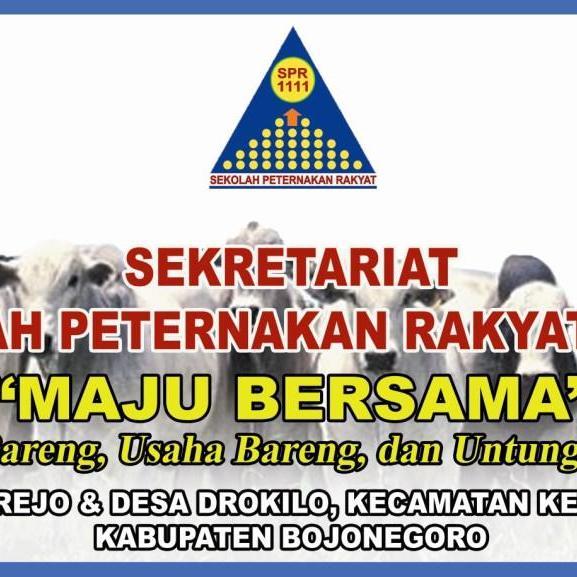 Akun Resmi, Sekolah Peternakan Rakyat Maju Bersama, Desa Siderejo dan Desa Drokilo Kecamatan Kedungadem, Kabupaten Bojonegoro, Jawa Timur.