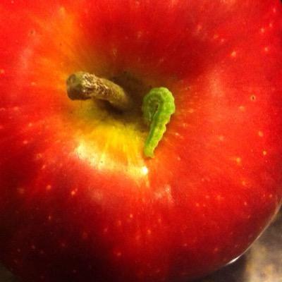 AygPaola's profile picture. 